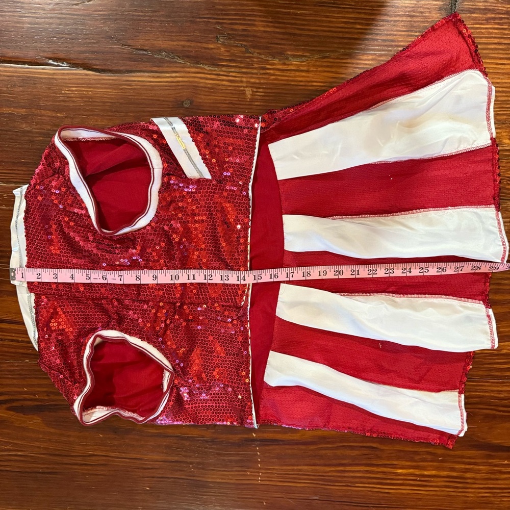 Maggie Waggy Sequin Cheerleader Dog Costume | XXL | New With Tags - Picture 10 of 10